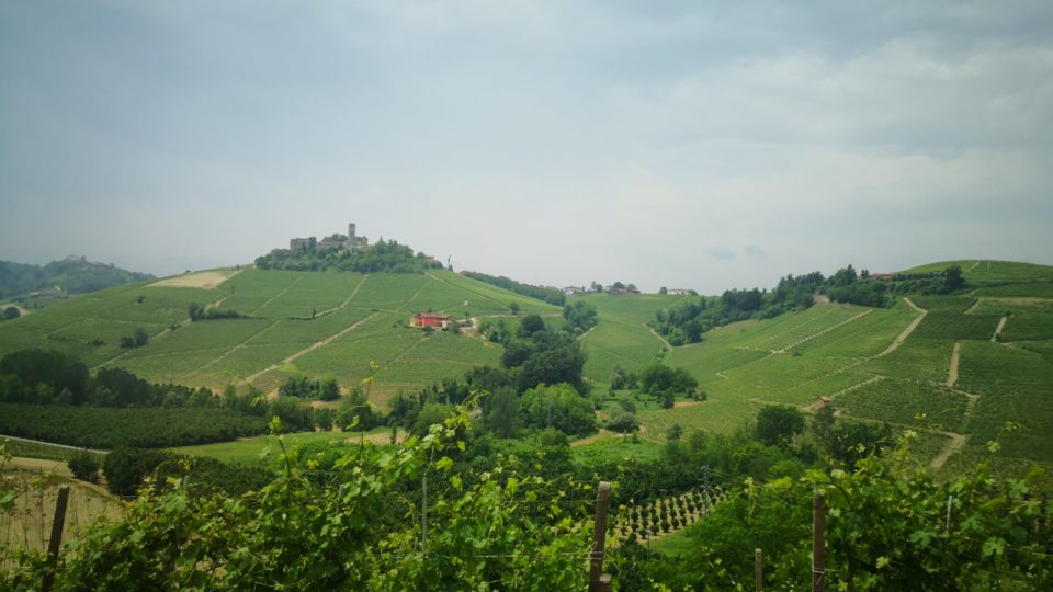 Gita Aziendale a Barolo