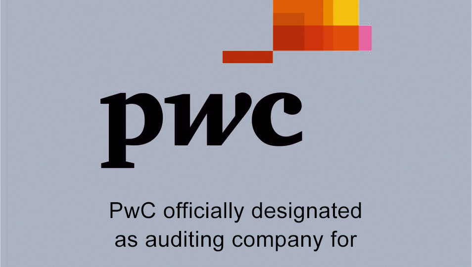 Price Waterhouse Cooper: una guida per la crescita